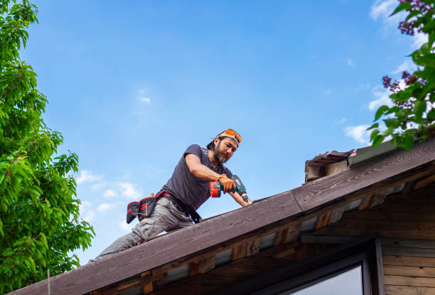 Best Roof Moss and Algae Removal  in Double Oak, TX